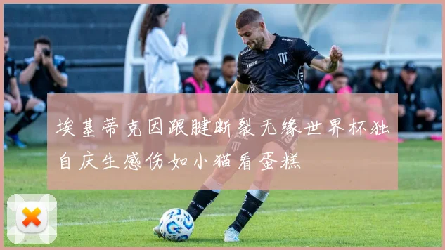 埃基蒂克因跟腱断裂无缘世界杯独自庆生感伤如小猫看蛋糕